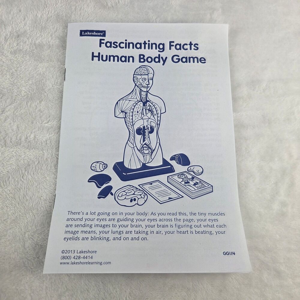 Lakeshore Fascinating Facts Human Body Game Anatomy Model Complete 2013 GG114 - Picture 3 of 13